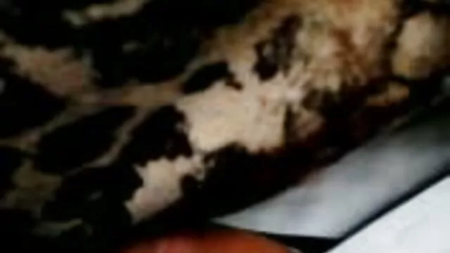 XXX sem registo  Miúda Busty com namorado insaciável na videos de cabine erotica foda