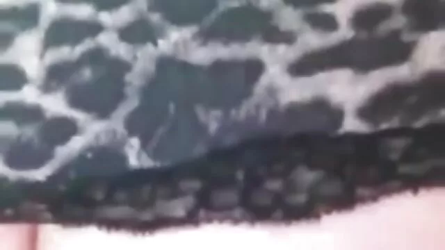 XXX sem registo  As jovens lésbicas têm um olhar intenso sem puxarem videos eroticos e sensuais as meias.