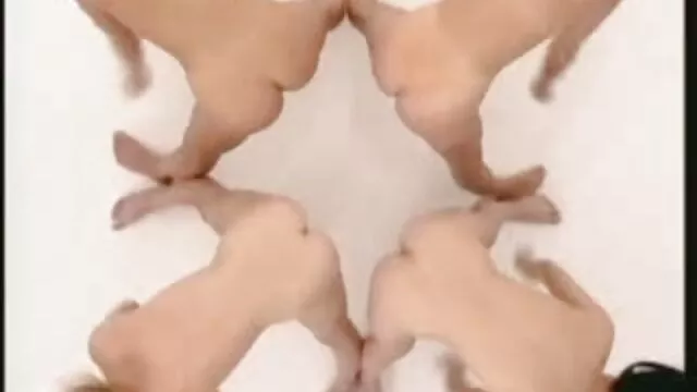 XXX sem registo  Bónus premium video erotico pai e filha para prostitutas fortes