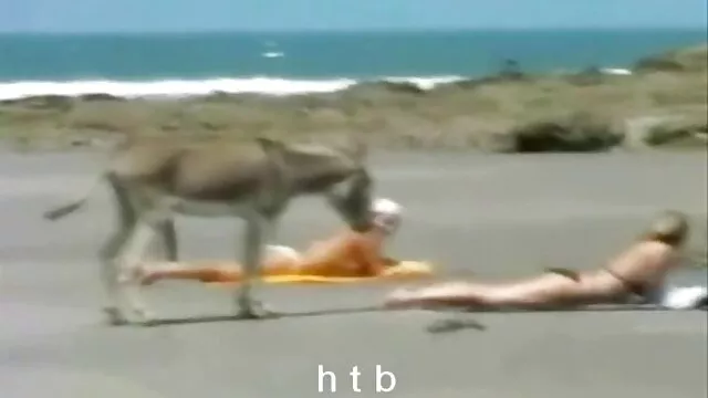 XXX sem registo  Big boy videos pornos em quadrinhos fucking little blonde